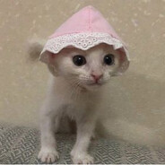 てんがいこどく