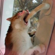 非常に有毒な人