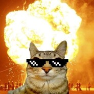 b1nn