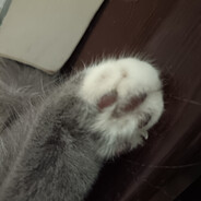 吾有枭雄之志