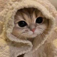 Mochiii