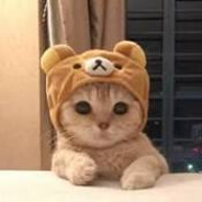 Suzu