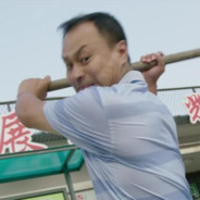 呆呆鸟