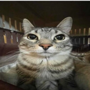 pluh