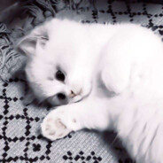 mur