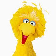 Big Bird
