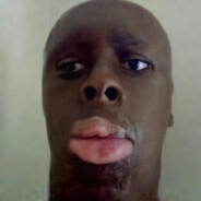 bearchik