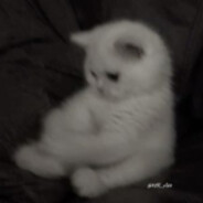 SIV