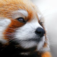 Steam Community :: Group :: Nakash