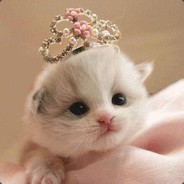 МиЛыЙ кОтЁнОчЕк :***