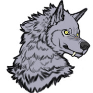 michaelwolfdx