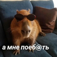 пожилая капибара