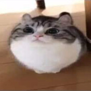 waheto