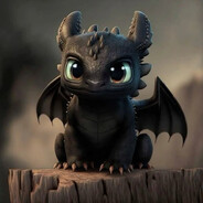 NOCNA FURIA