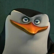 Skipper