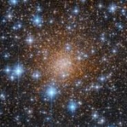 exotischer Star