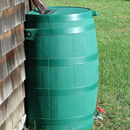 Rainbarrel