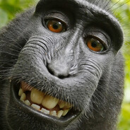 TURKEY MONKEY