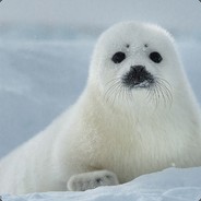 PledgePolo