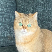 TOPAZ