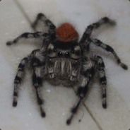 JumpinSpyder