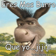 Dr.Burrone