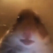 ginolujo