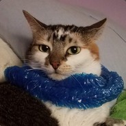 itsTrueBlu_