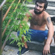 gadareuli guruli