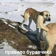 Реквием по Чечне