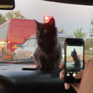 яна сильник