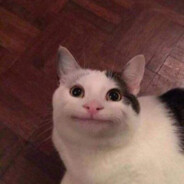 TTunaz