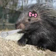 Pikobraz