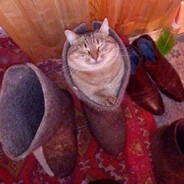 Ужик)