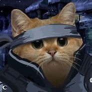 solid cat