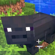 pigga