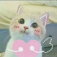 盗号司马