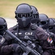 SAJ-87