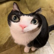 Anatolijs