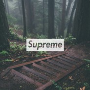 tOXIctBAG