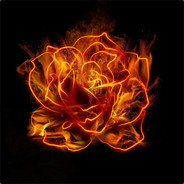 TrandaFire