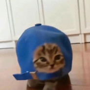 你在玩什么呢？