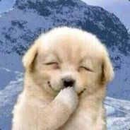 小如意