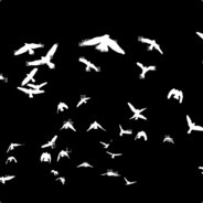Steam profile picture for @alicante