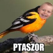 Ptaszor2.0