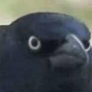Corvo do Julgamento