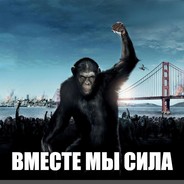 POК