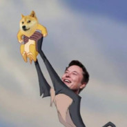 Baby Doge