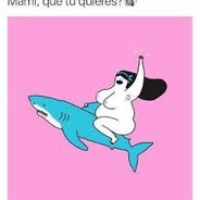 Aqui llego tu tiburón