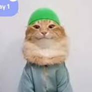 tabtabitab cat